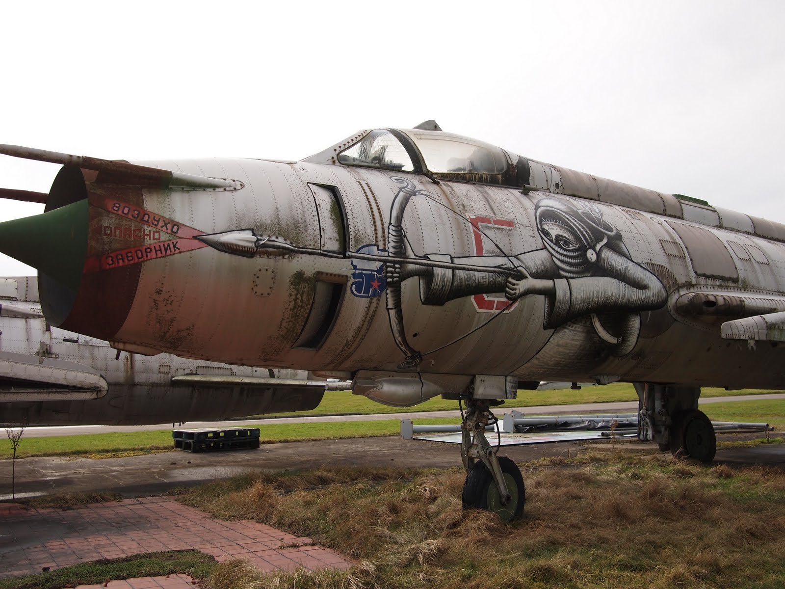 phlegm sukhoi su17 jet + phlegm.