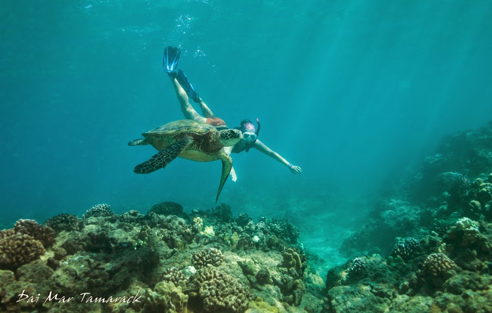 Capturing the Moment Snorkel Oahu Electric Beach