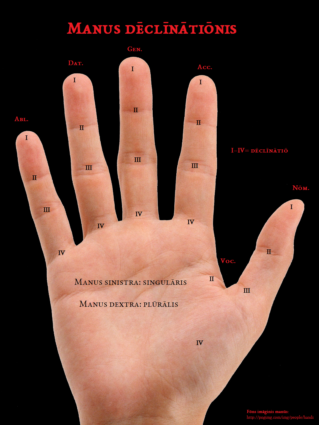 Deklinasjonshånda, manus dēclīnātiōnis Deklinasjonshånda, manus dēclīnātiōnis, manus declinationis, declension hand