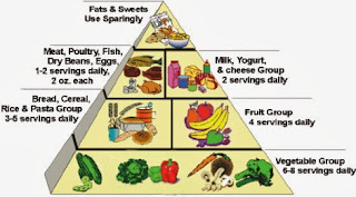 food pyramid