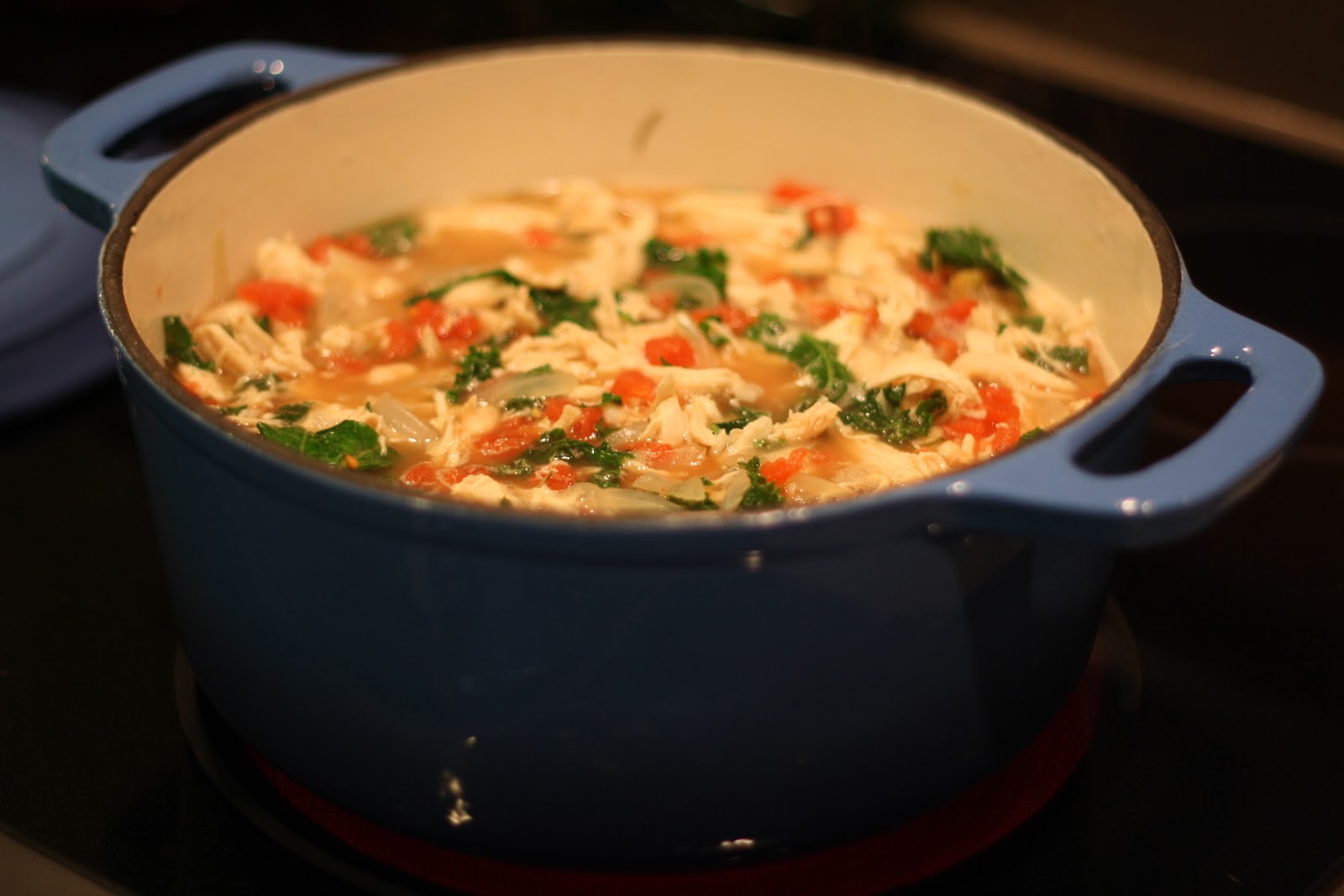 Making Mama's Kitchen Dutch Oven Dijon Chicken Stew