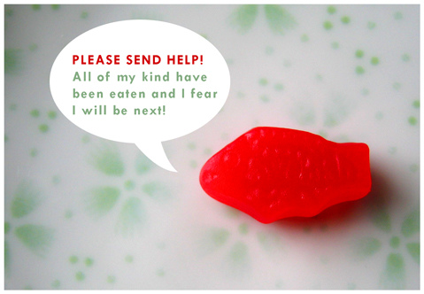 rencontre translation