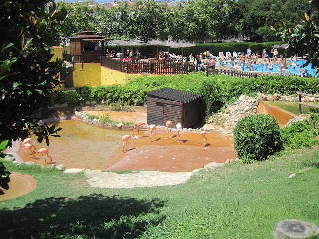 Аквапарк Marineland