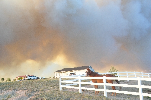 Black forest wildfire June 11 2013 coloradoviews.blogspot.com