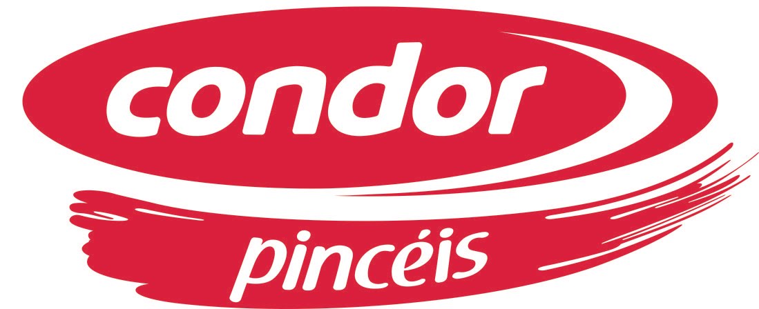 CONDOR PINCEIS