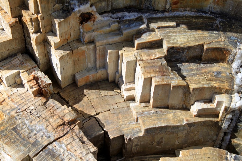 Travelblogue August 2014 Specimen Ridge, Yellowstone