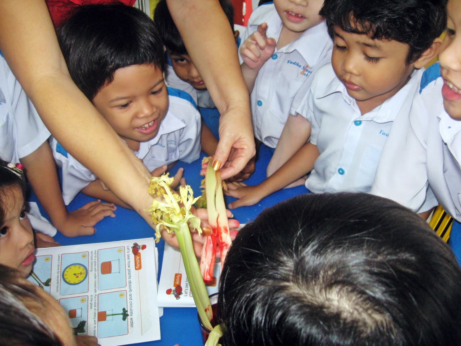 Tadika Sinaran Intelek: 5 Years Old Class : Science Experiment