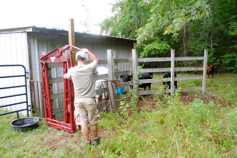 Wooden Soap Box Car Plans, Cattle Head Gate Plans, Quick And Easy