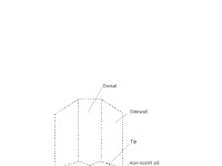 Nasal Diagram Nasal Diagram