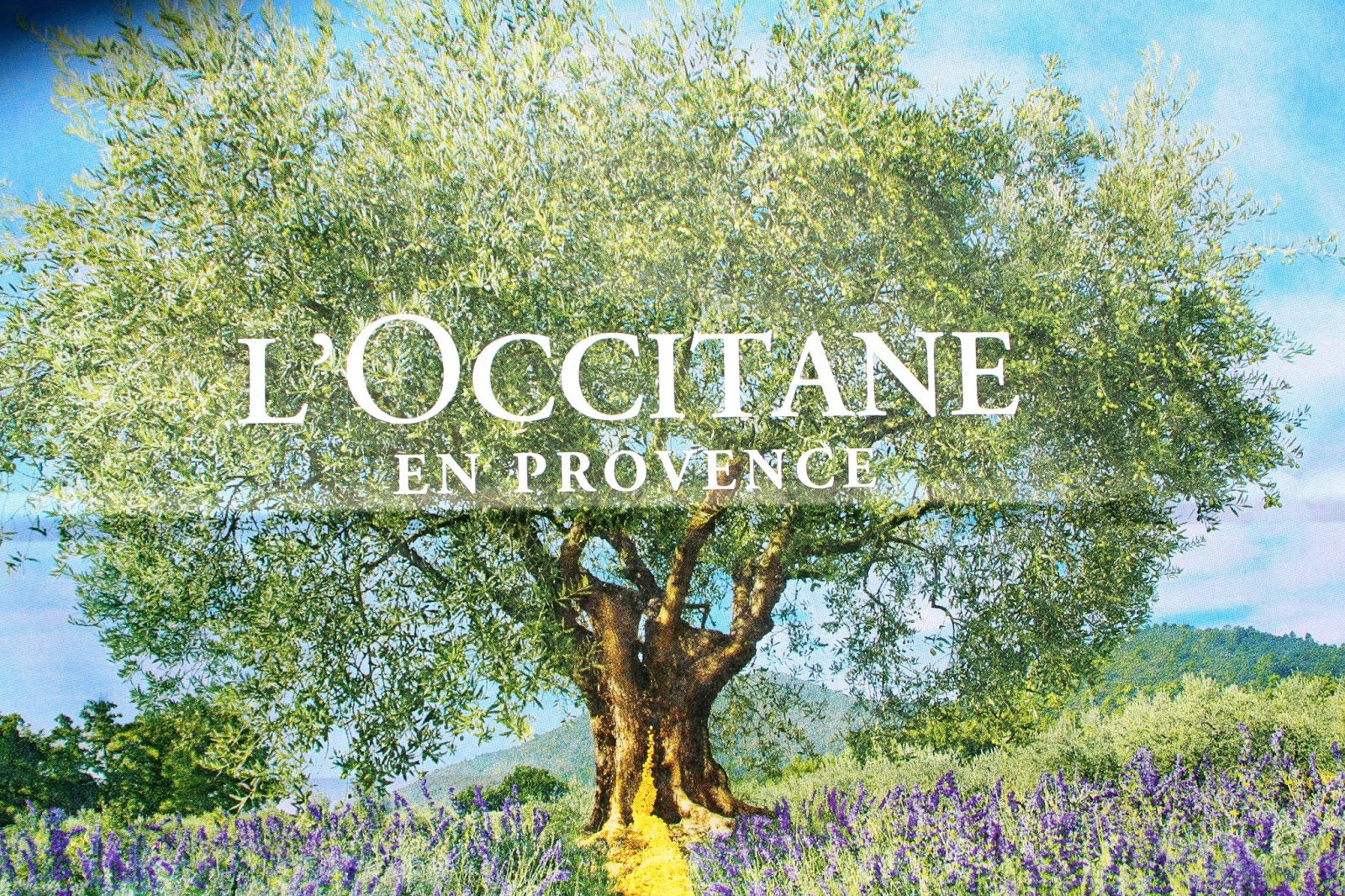 Because We Adore It L'Occitane Ultra Rich Face Scrub
