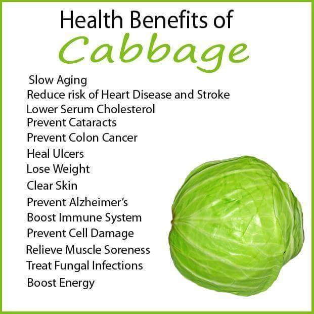 TELUGU WEB WORLD: CABBAGE HEALTH BENEFITS IN ENGLISH