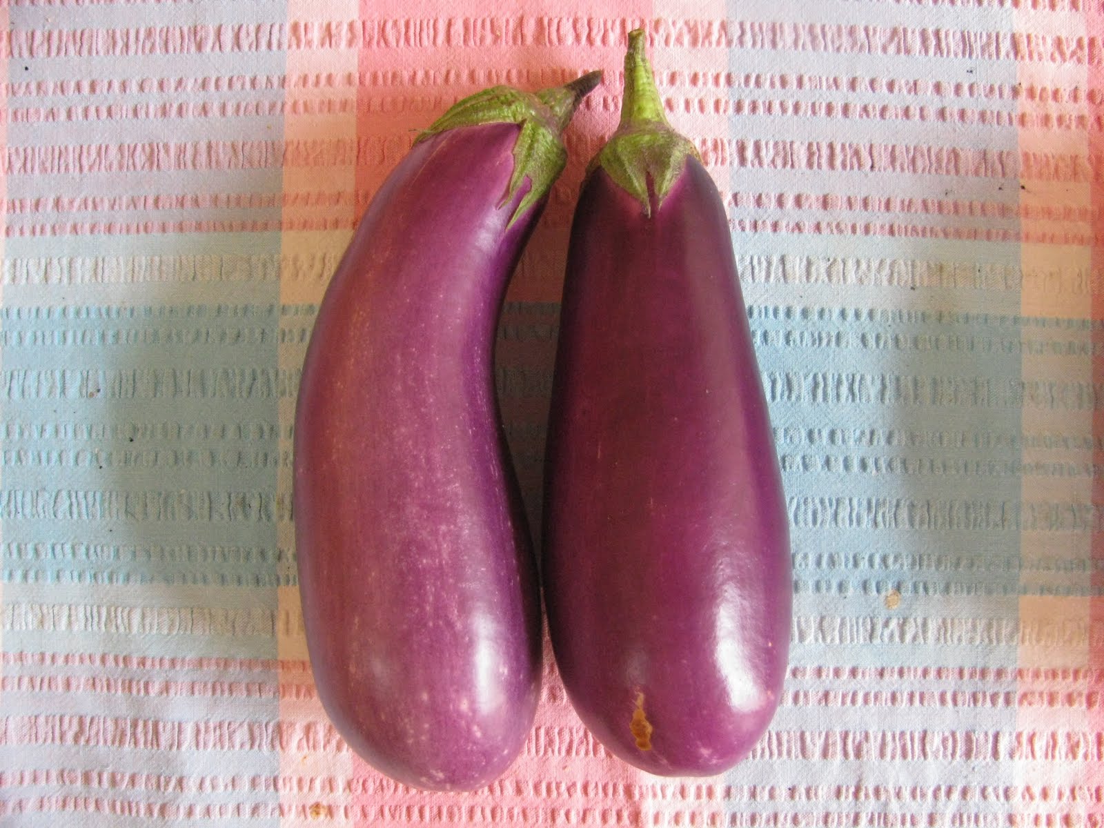 Dear Asparagus My eggplant family!
