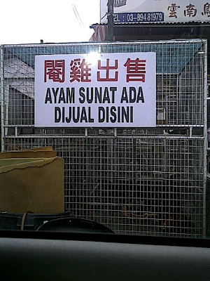 signboard-jual-ayam.png