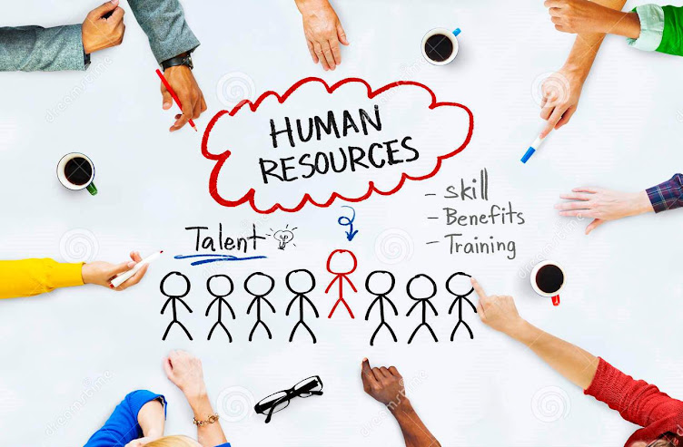 HUMAN RESOURCES IBS