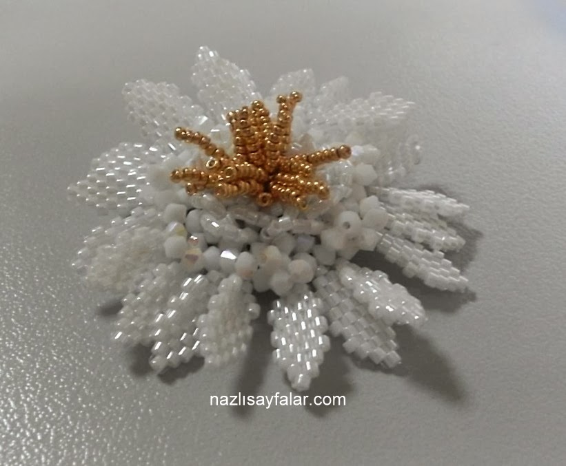 brooch broş