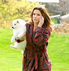 Proposal Dog Breed Proposal Dog Breed