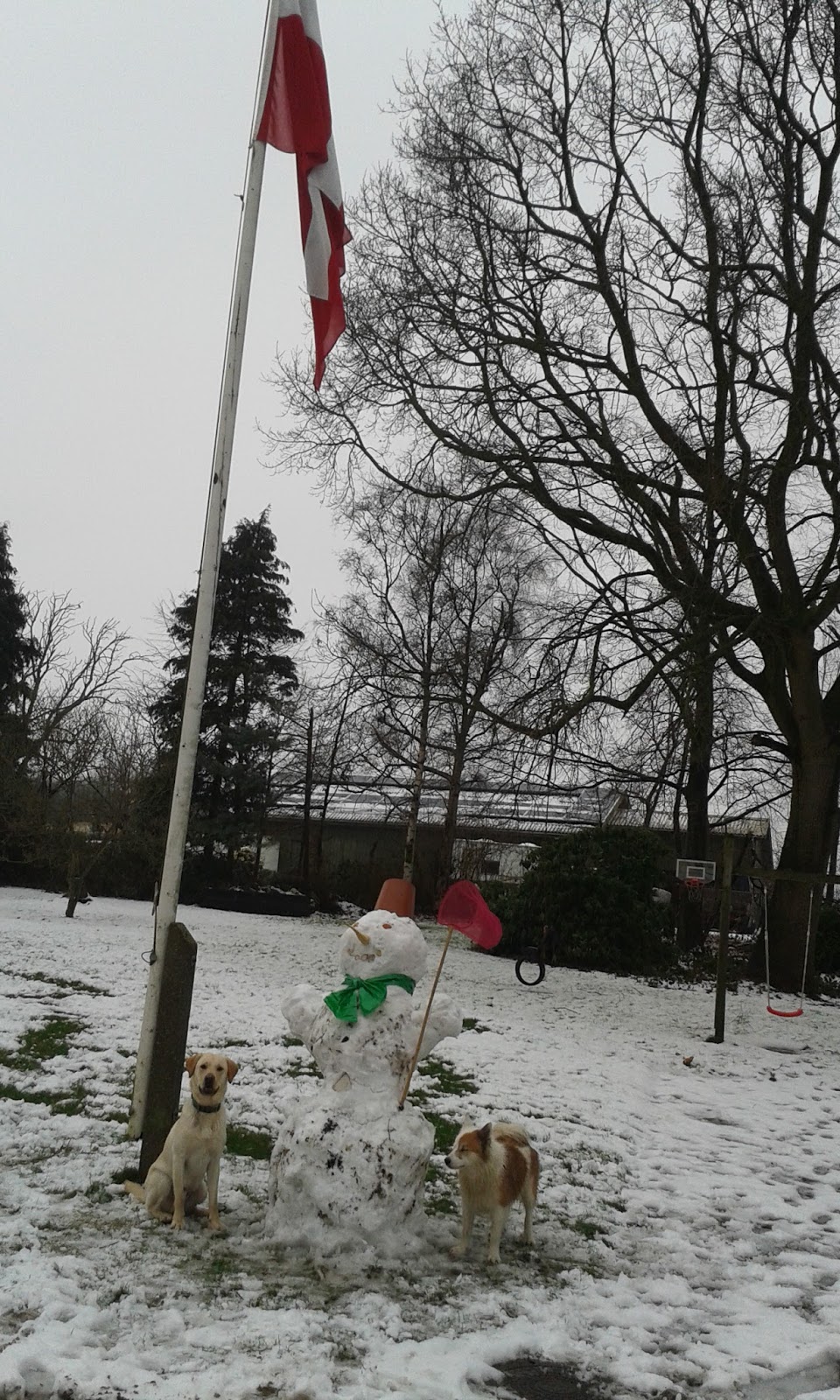 Captain Gosi January 2016