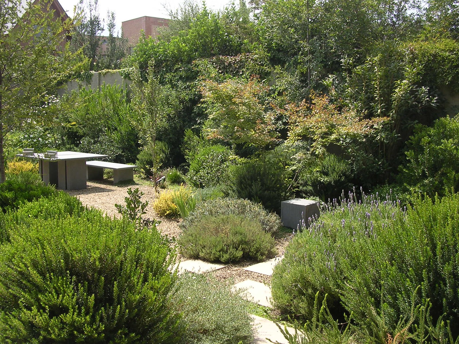 PAISAJISMO EN CHILE: 2) ¿Cuál es el jardín que nos pertenece?