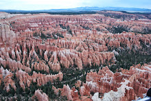 "Bryce Canyon"