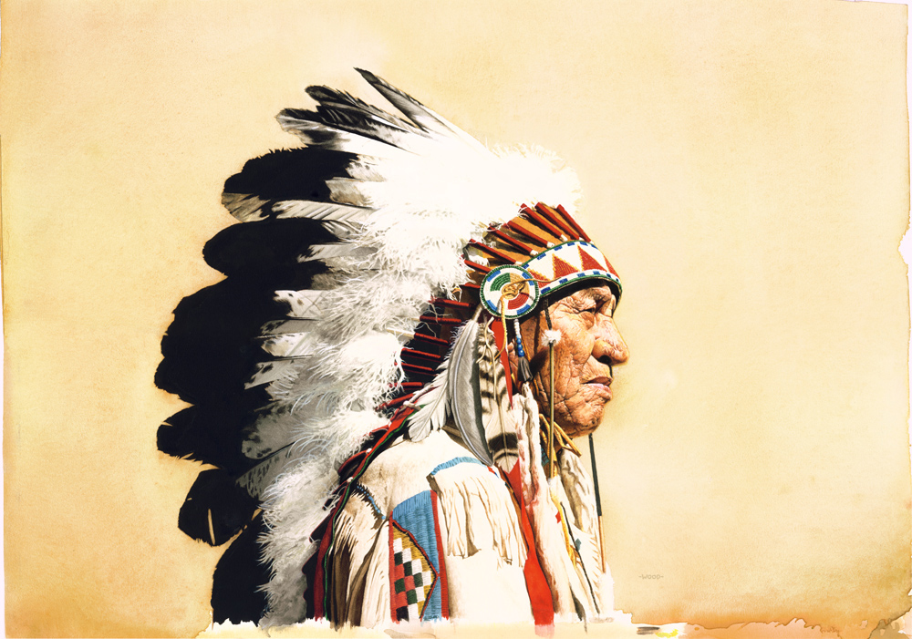 Download this Image Native American Chief picture