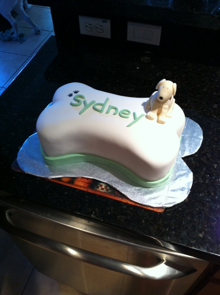 How+to+make+a+dog+bone+cake