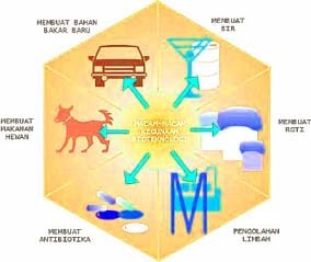 Live Biologi Manfaat Dan Dampak Penerapan Bioteknologi