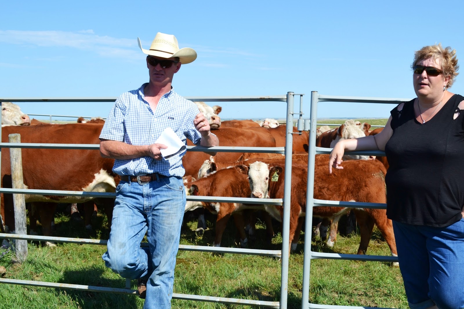 Farm to Fork Beef with Apples, Tomatoes and Herbs
