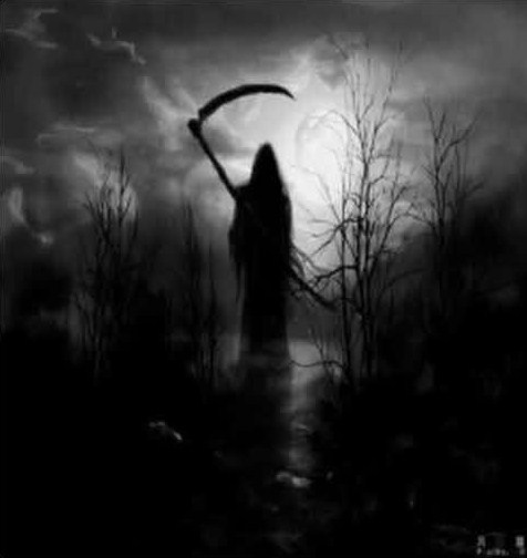 Libro: Morte Di Un Ex Tappezziere - Romanzo Giallo