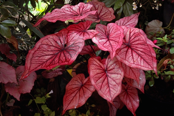 รูปภาพที่เกี่ยวข้อง