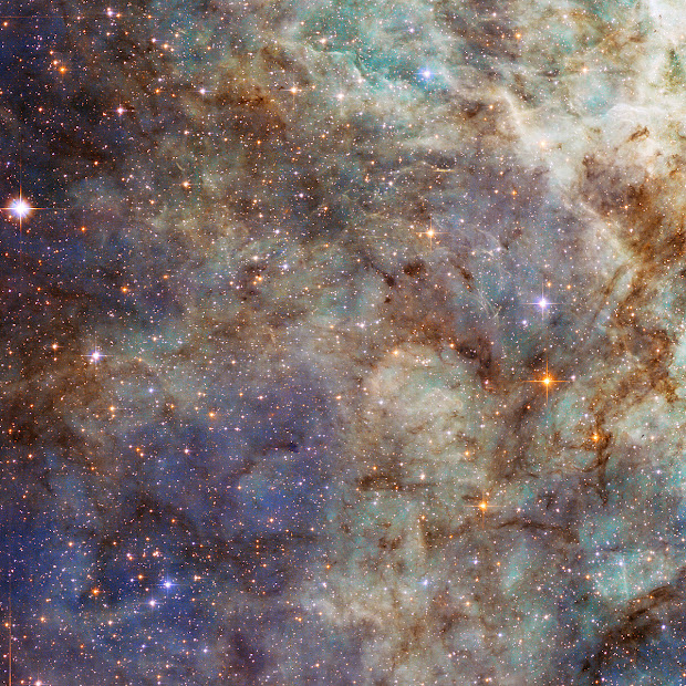 30 Doradus, the Tarantula Nebula snapped by Hubble