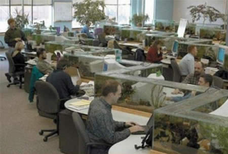Crazy Pics 10 Cool And Crazy Fish Tanks
