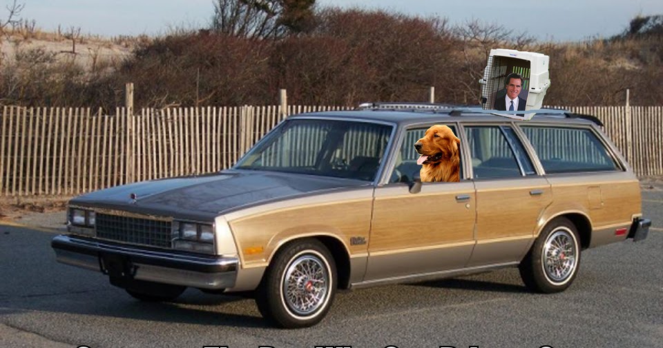 Pick's Place Archive Mitt Romney's Dog Takes the Wheel