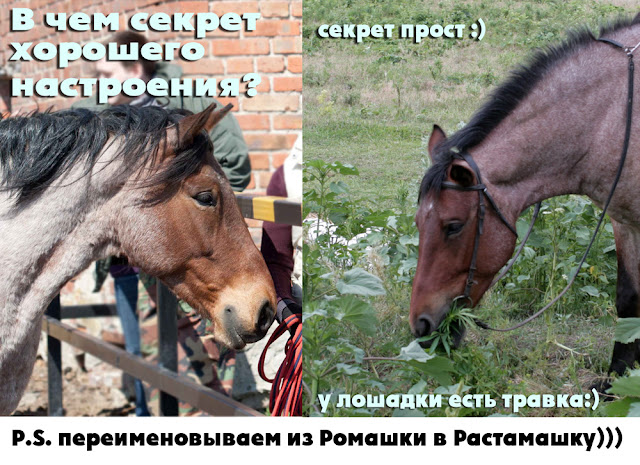 YY0P4919.jpg