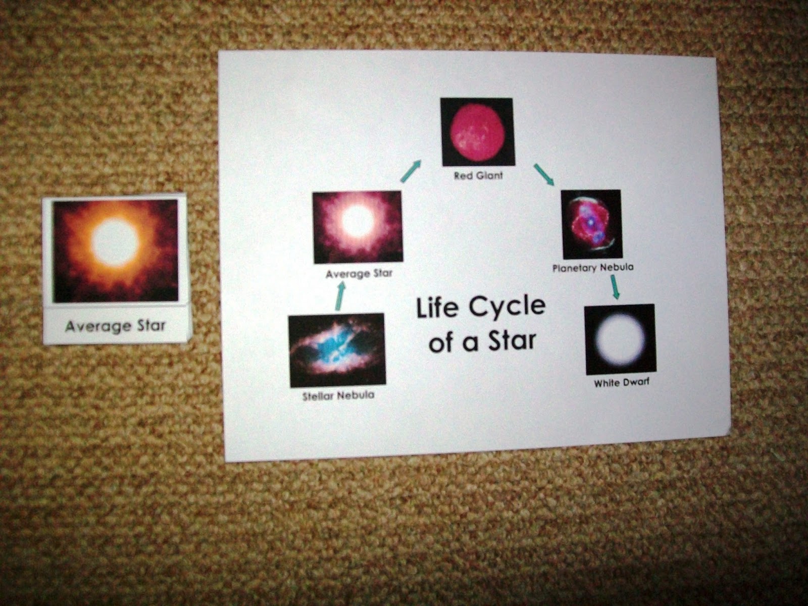worksheet Life Cycle Of A Star Worksheet Answers astronomy unit stars every star is different