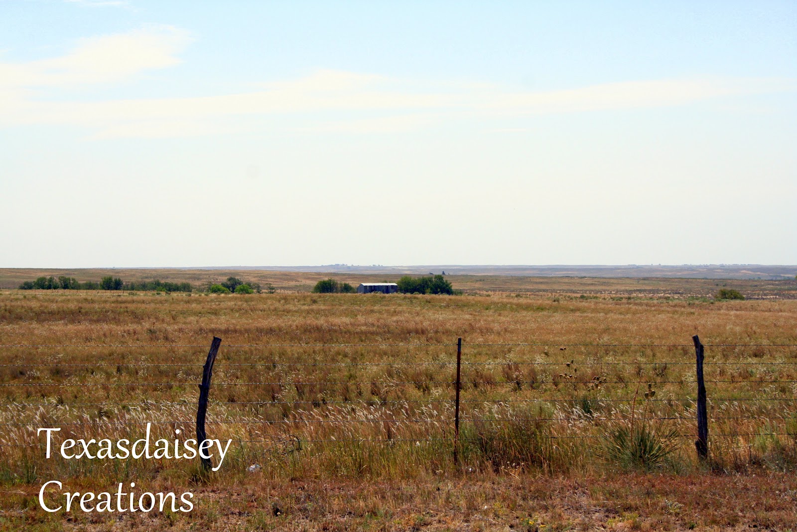 Texasdaisey Creations Home on the Range