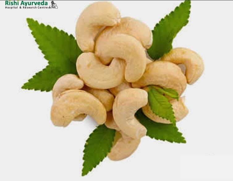 Rishi Ayurveda Hospital and Research Centre Cashew Nut The Cholesterol and Fat Busting Super Nut.