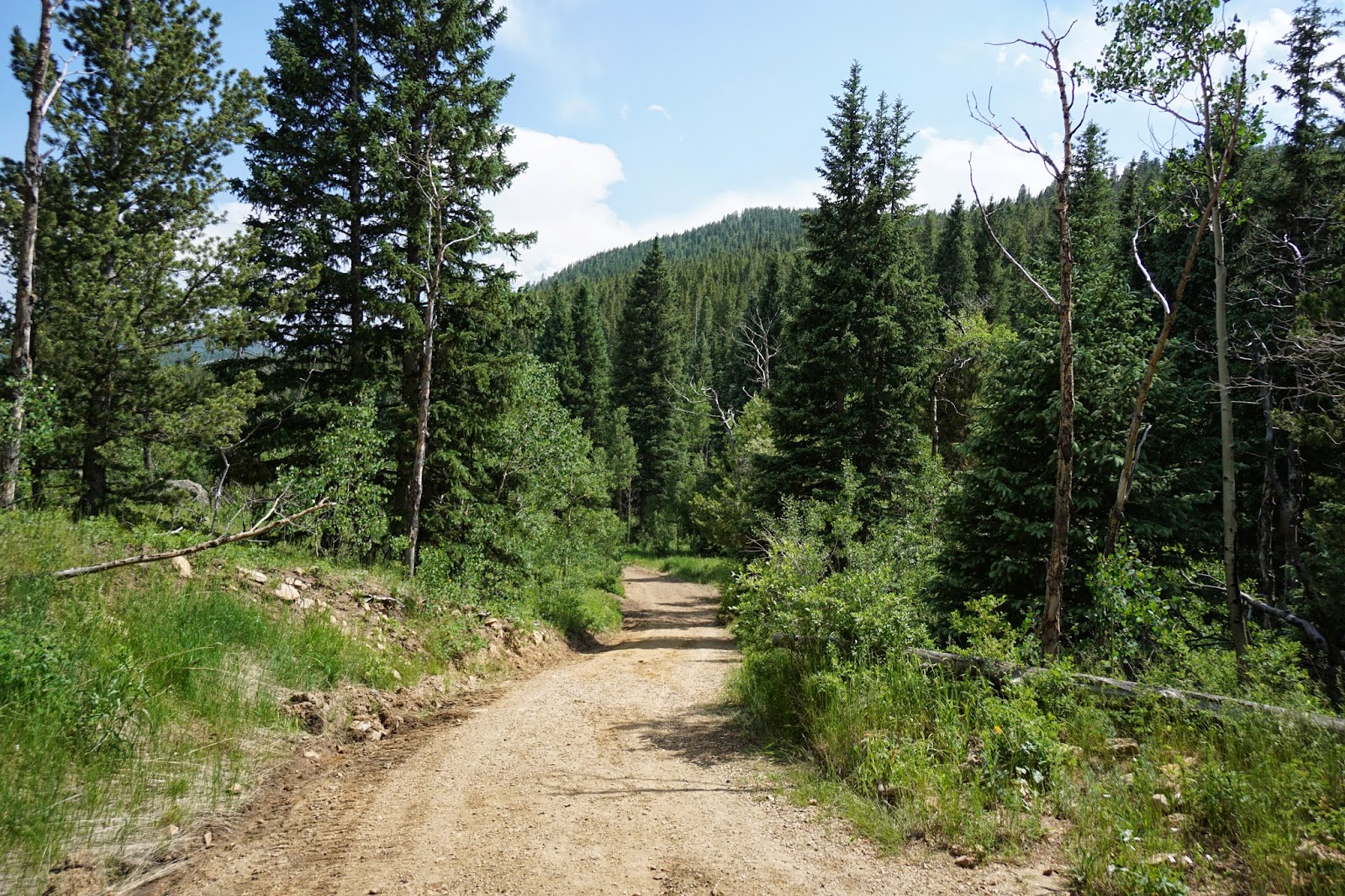 Go Hike Colorado Snowshoe Hare Trail, Golden Gate Canyon State Park