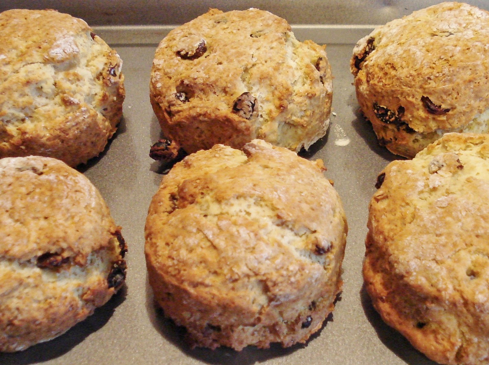 Gluten Free Scones GF Gluten Free SCD and Veggie