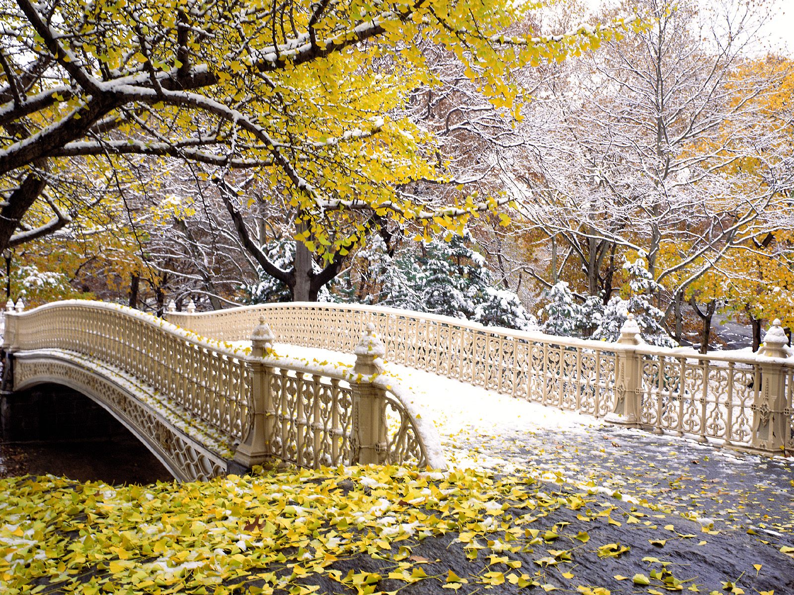 Central Park New York Attraction | New York Tourist Attraction