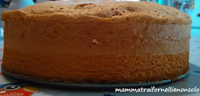 Lievitazione del Pan di spagna con 6 uiva Pan-di-spagna