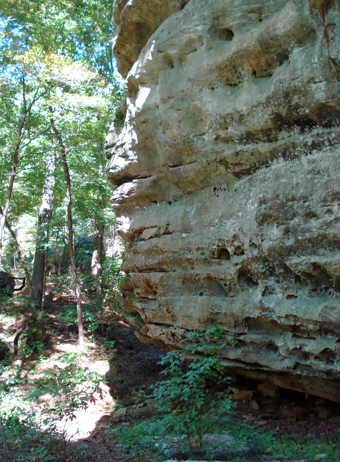 Experiencing Illinois Sand Cave Shawnee National Forest