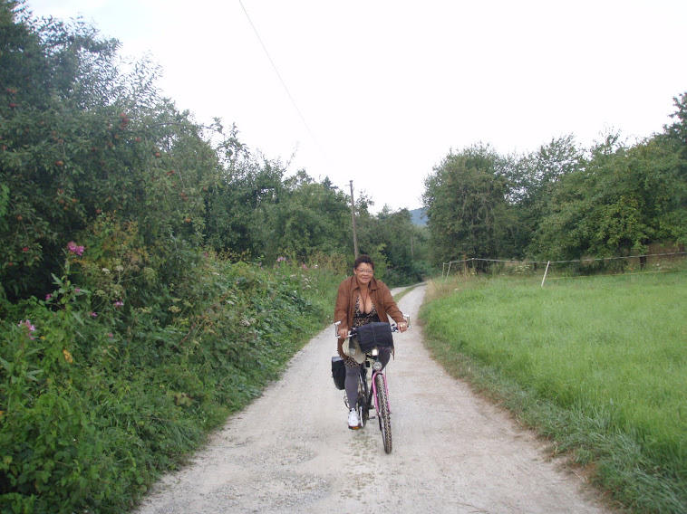 Andando de Bicicleta nos ALPES DA BAVIERA