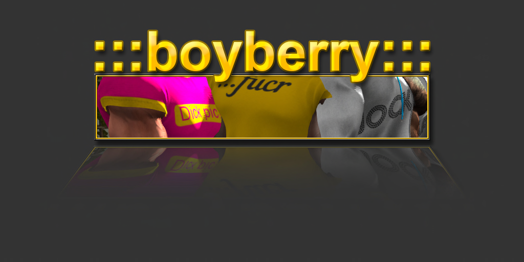 Gold Sponsor ::::boyberry:::