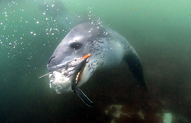 Shes The One - Palm Beach - Home Facebook