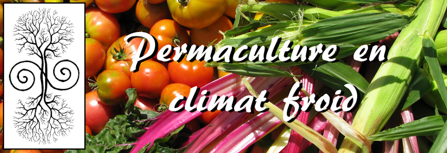 Permaculture en climat froid