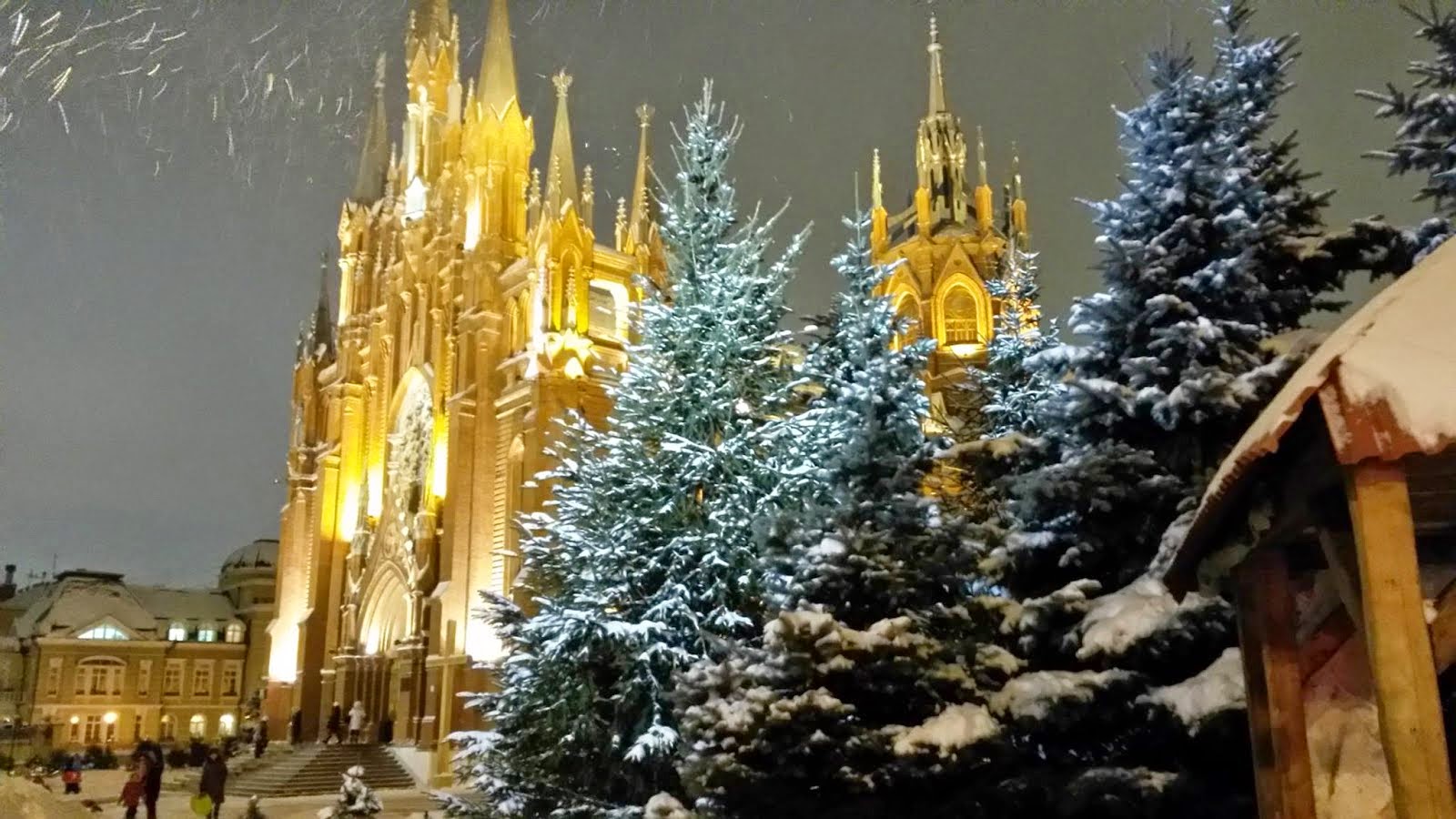 MOSCOW THE CATHEDRAL OF THE IMMACULATE HEART OF MARY ANNA BELOVA