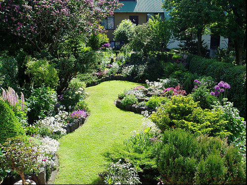 Garden Design: Small garden design pictures