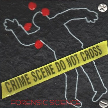 evidence and expert interview Their guide for conducting forensic interviews of children is the also state that the best evidence is that offered through a free narrative. evidence and expert interview Their guide for conducting forensic interviews of children is the also state that the best evidence is that offered through a free narrative.