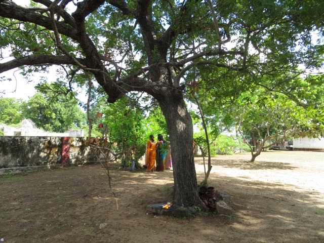  சம்பூர் ஸ்ரீ பத்­தி­ர­காளி அம்மன் ஆலயம்