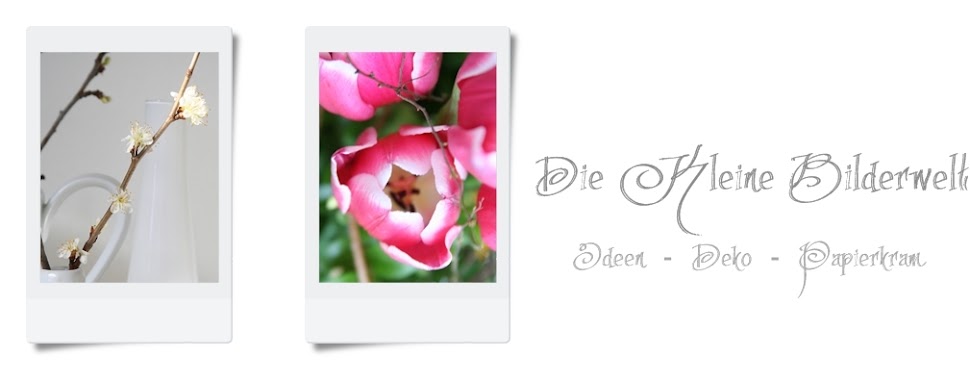 Die kleine Bilderwelt